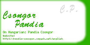 csongor pandia business card